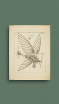 Leonardo’s Machines Illustrated Portfolio Print